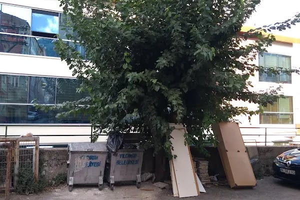 İl Halk Kütüphanesi Müdürlüğü - Resim 8