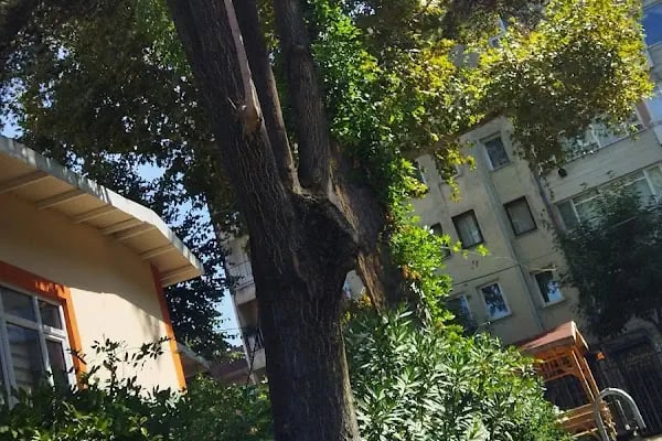 İl Halk Kütüphanesi Müdürlüğü - Resim 12