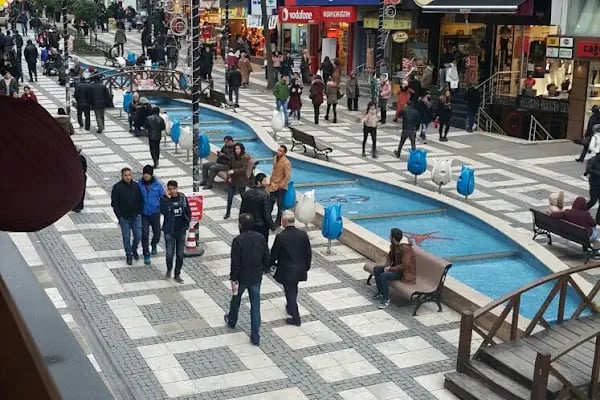 T.C. Avcılar Belediye Başkanlığı Sağlık İşleri Müdürlüğü - Resim 11