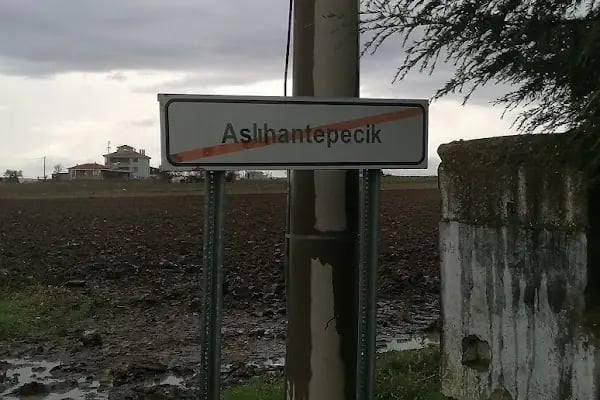 Aslıhan - Resim 4