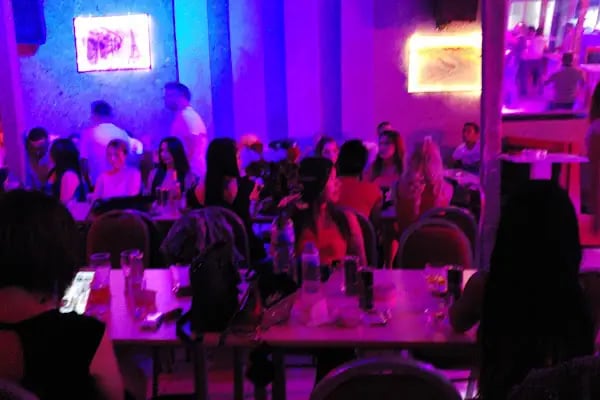 Marina CLUP - Resim 13