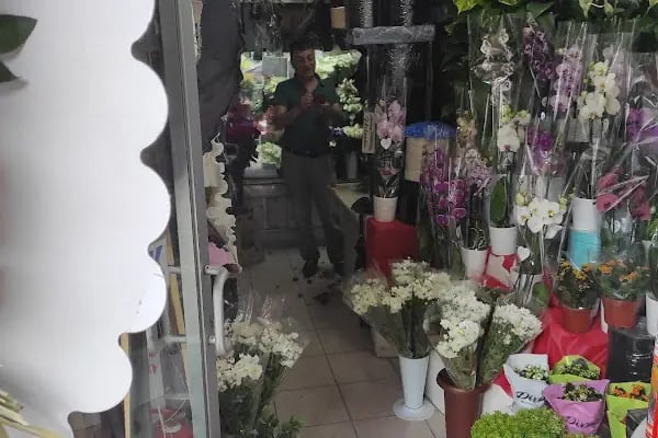 Ankara Kutuda Çiçek - Resim 4