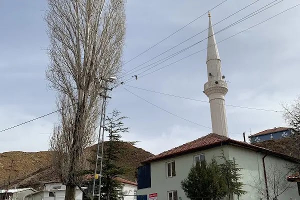 Aydoğan Köyü Muhtarlığı - Resim 3
