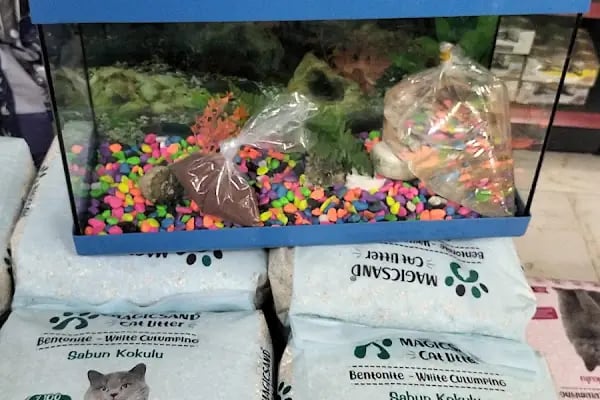 İmera Pet Shop - Resim 3