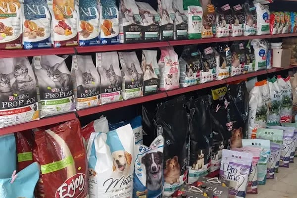 İmera Pet Shop - Resim 4