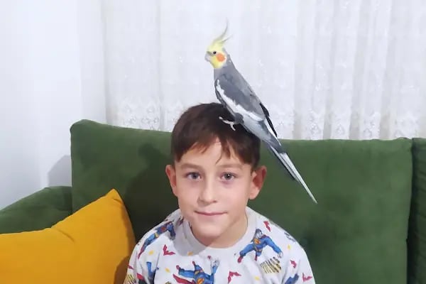 İmera Pet Shop - Resim 10