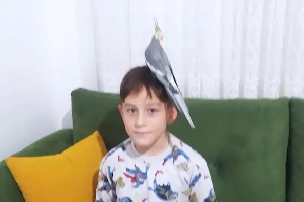 İmera Pet Shop - Resim 15