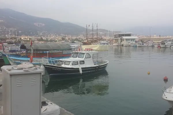 adanus restaurant cafe bar - Resim 18