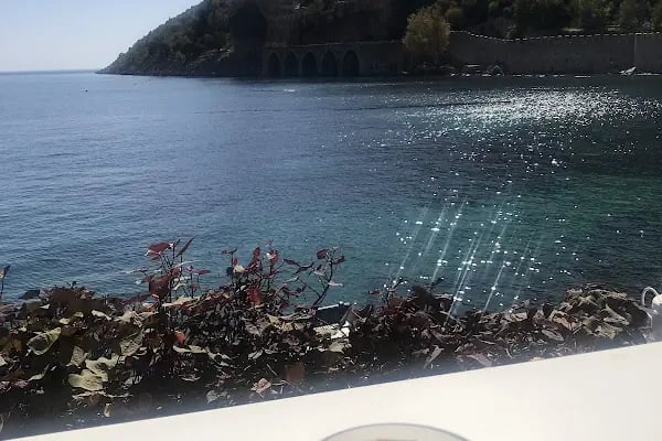 adanus restaurant cafe bar - Resim 5