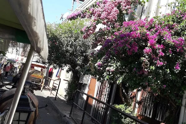 Ihlamur Sitesi - Resim 7