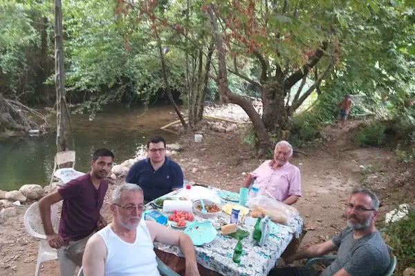 Ballı Düğün Salonu - Resim 15