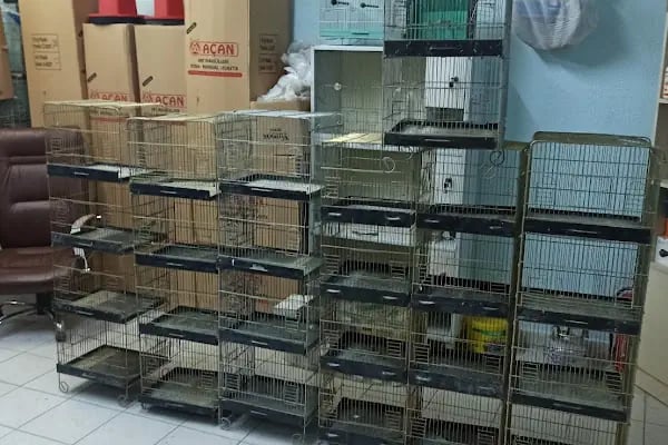AKBOSTAN PETSHOP - Resim 4
