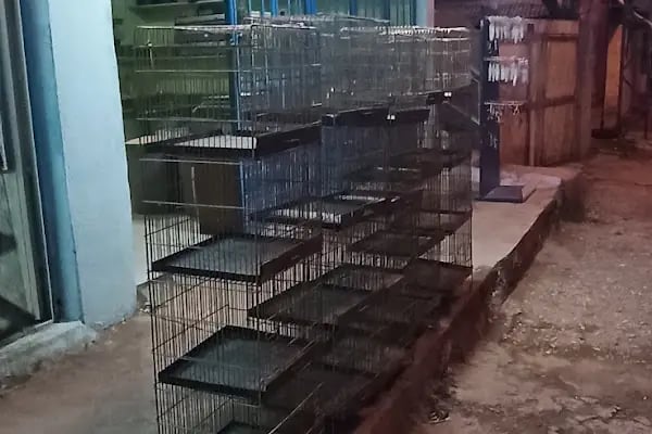 AKBOSTAN PETSHOP - Resim 6