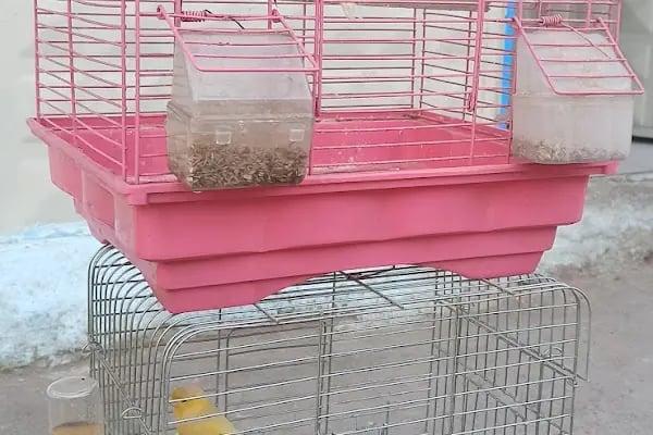 AKBOSTAN PETSHOP - Resim 3