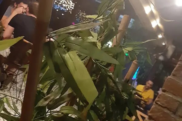 Wix Garden Cafe&amp;Restaurant - Resim 8