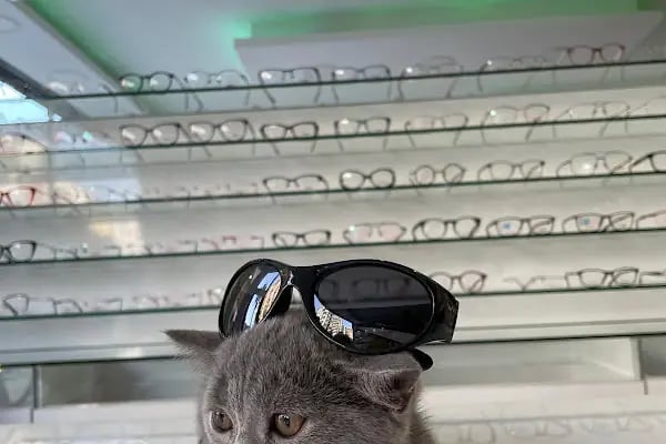 ÇAĞ Optik - Resim 3