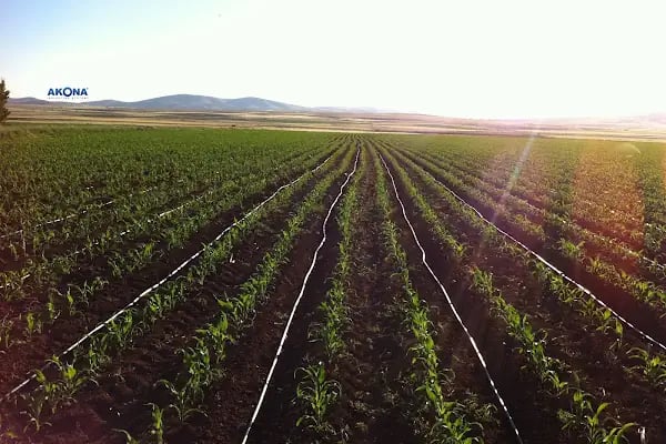 AKONA SULAMA SİSTEMLERİ / IRRIGATION SYSTEMS - Resim 2