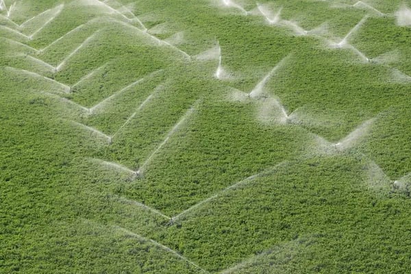 AKONA SULAMA SİSTEMLERİ / IRRIGATION SYSTEMS - Resim 5