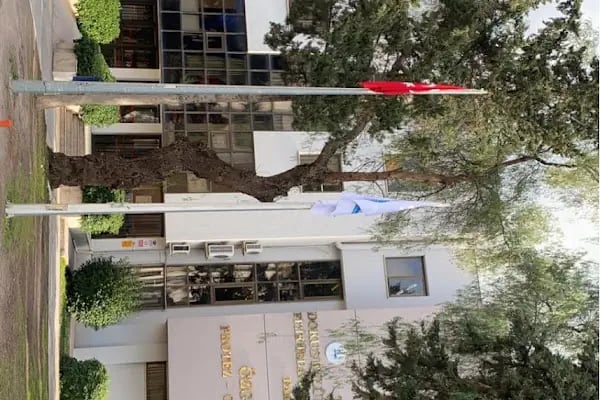 Dokuz Eylül Üniversite Fizik Tedavi ve Rehabilitasyon Yüksek Okulu - Resim 5