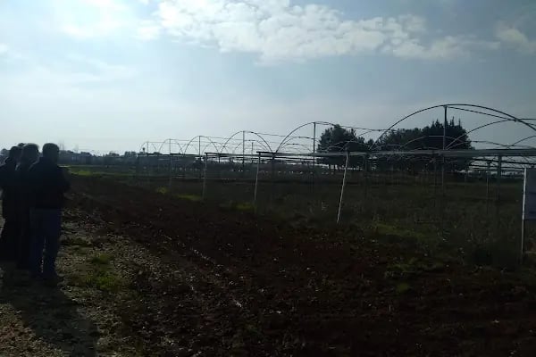 GAP Tarımsal Araştırma Enstitüsü Müdürlüğü Eğitim Merkezi (GAPTAEM Eğitim Merkezi) - Resim 15