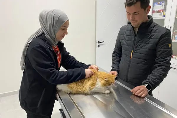 Vetport Dalaman Veteriner Kliniği - Resim 8