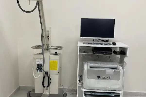 Vetport Dalaman Veteriner Kliniği - Resim 6