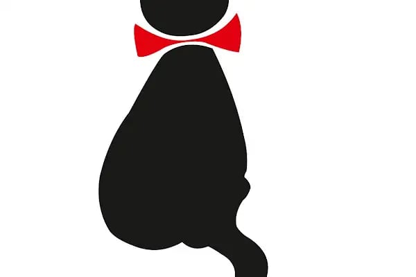 ANIMAL CENTER VETERINER KLİNİĞİ - ERKAN SÖZBİLEN - Resim 12