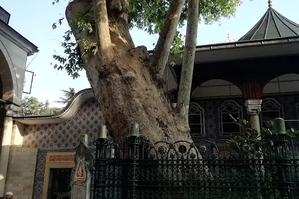 Lala Mustafa Paşa Türbesi - Resim 8