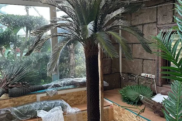 ALANYA BOTANİK PEYZAJ VE ÇİÇEK - Resim 13