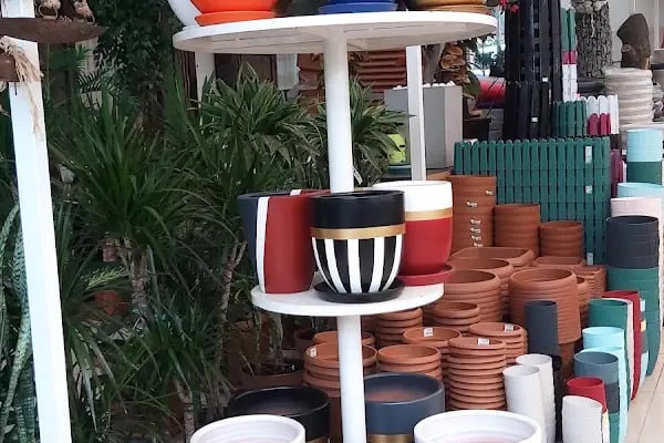 ALANYA BOTANİK PEYZAJ VE ÇİÇEK - Resim 12