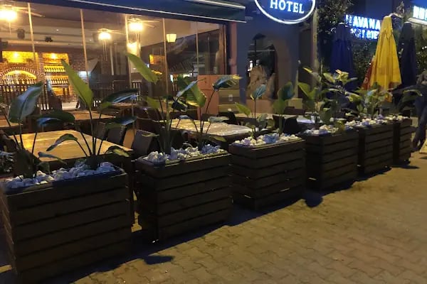 ALANYA BOTANİK PEYZAJ VE ÇİÇEK - Resim 2