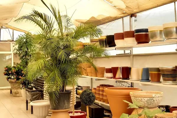ALANYA BOTANİK PEYZAJ VE ÇİÇEK - Resim 3