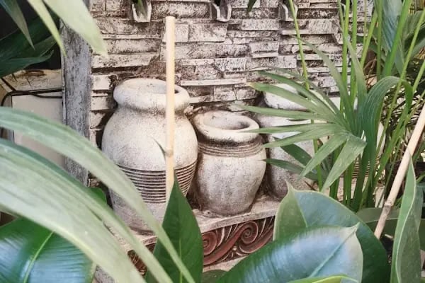 ALANYA BOTANİK PEYZAJ VE ÇİÇEK - Resim 19