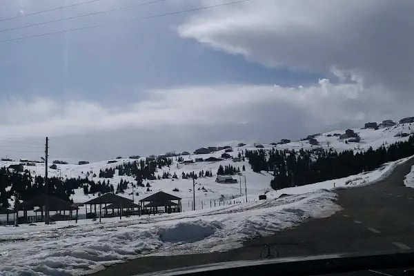 Zeytindalı Yayla Hotel - Resim 18