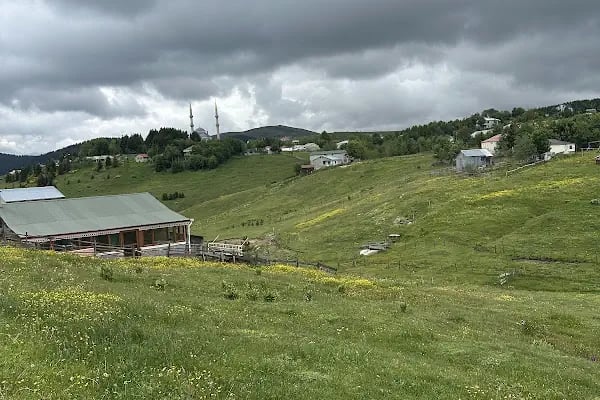 Zeytindalı Yayla Hotel - Resim 10