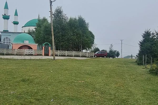 Zeytindalı Yayla Hotel - Resim 19