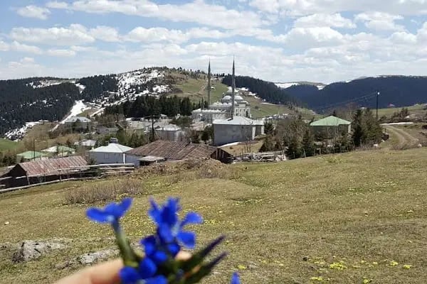 Zeytindalı Yayla Hotel - Resim 14