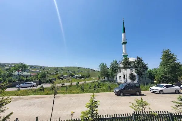 Zeytindalı Yayla Hotel - Resim 5