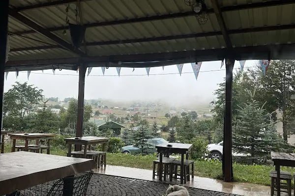 Zeytindalı Yayla Hotel - Resim 15