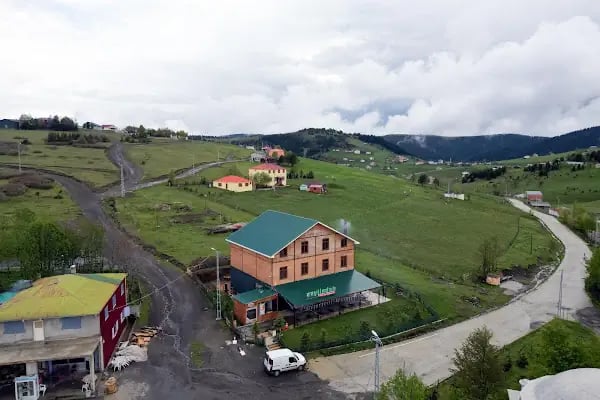 Zeytindalı Yayla Hotel - Resim 8