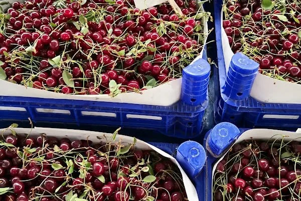 Aliağa Katlı Kapalı Pazar Yeri - Resim 17