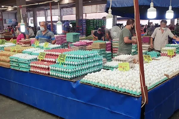 Aliağa Katlı Kapalı Pazar Yeri - Resim 18