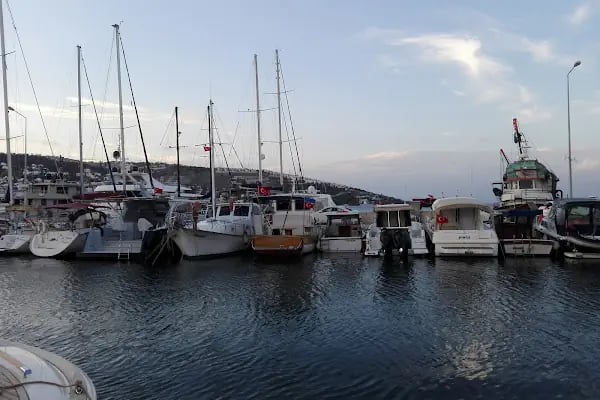 Terzi Mustafanın Yeri - Resim 19