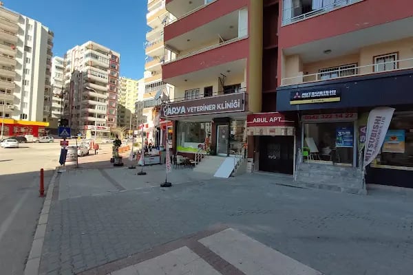 Arya Veteriner Kliniği - Resim 3