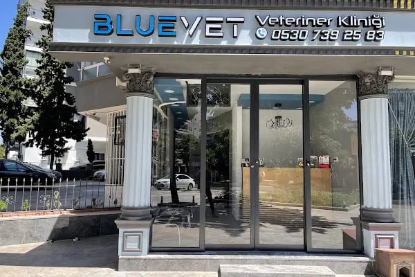 BLUEVET VETERİNER KLİNİĞİ - Resim 19