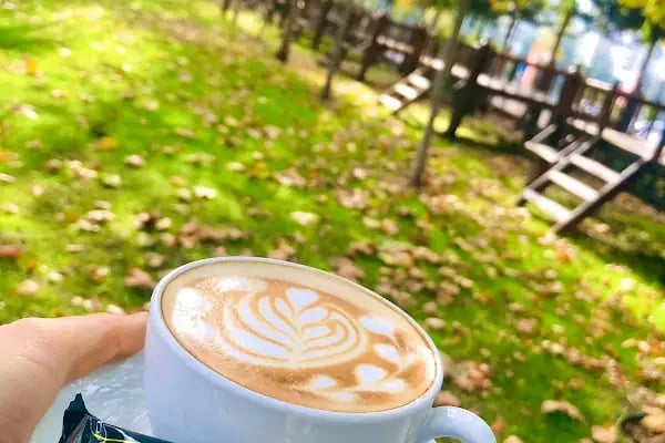 City Garden Coffee - Resim 5