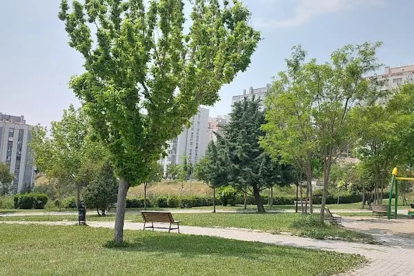 Aliağa Kuş Cenneti - Resim 17