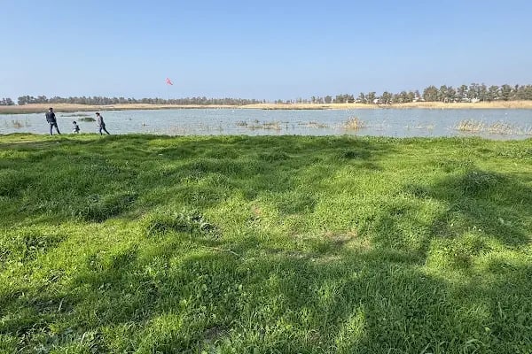 Aliağa Kuş Cenneti - Resim 10