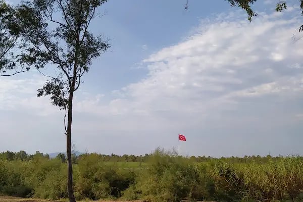 Aliağa Kuş Cenneti - Resim 13