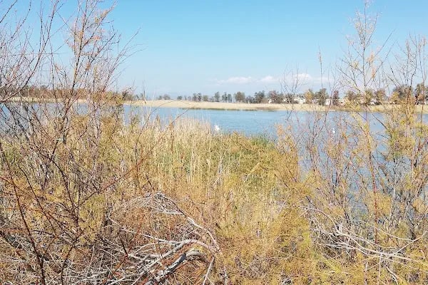 Aliağa Kuş Cenneti - Resim 18